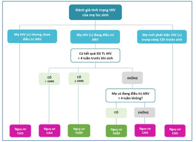 Mẹ nhiễm HIV cần lưu ý gì khi cho con bú?- Ảnh 2.